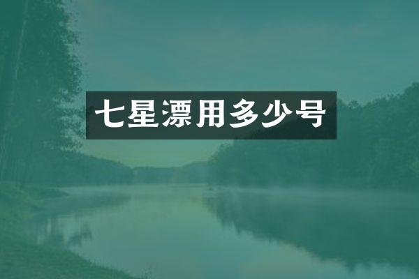 七星漂用多少号