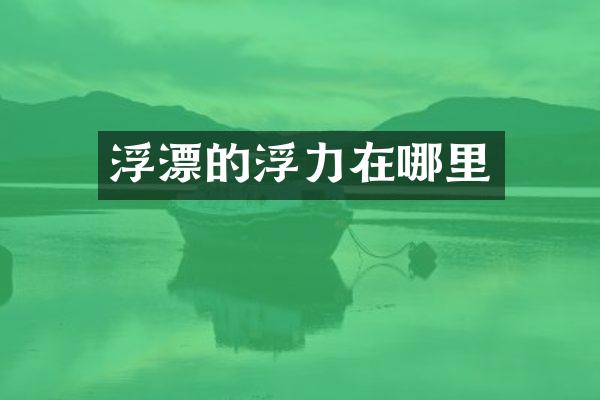 浮漂的浮力在哪里