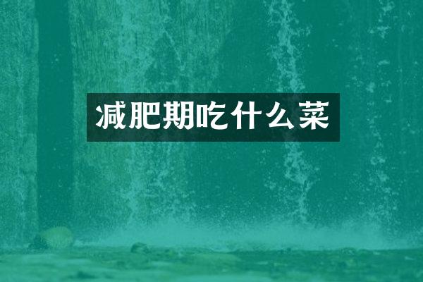 减肥期吃什么菜