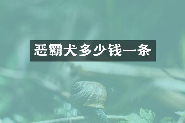 恶霸犬多少钱一条