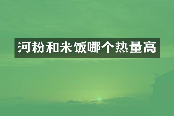 河粉和米饭哪个热量高