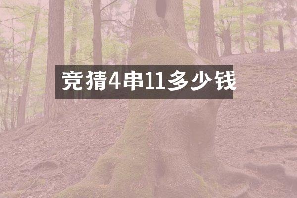 竞猜4串11多少钱