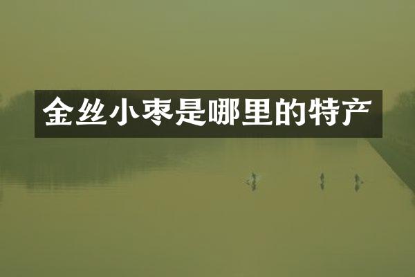 金丝小枣是哪里的特产