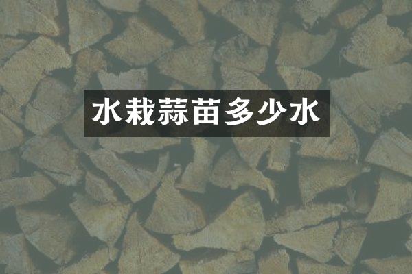 水栽蒜苗多少水