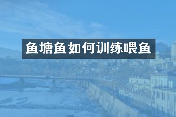 鱼塘鱼如何训练喂鱼