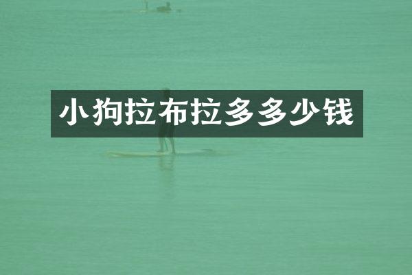 小狗拉布拉多多少钱