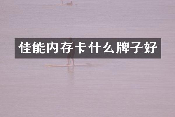 佳能内存卡什么牌子好