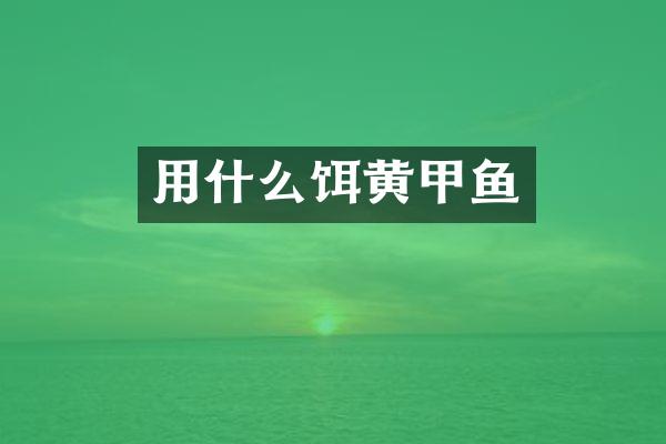 用什么饵黄甲鱼