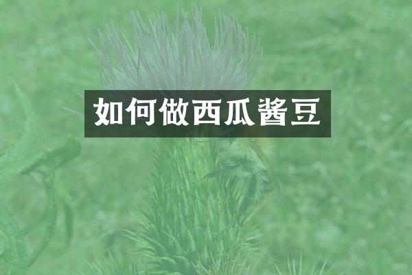 如何做西瓜酱豆