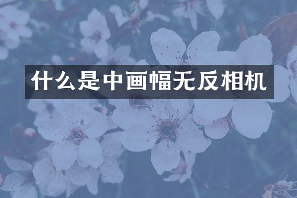 什么是中画幅无反相机