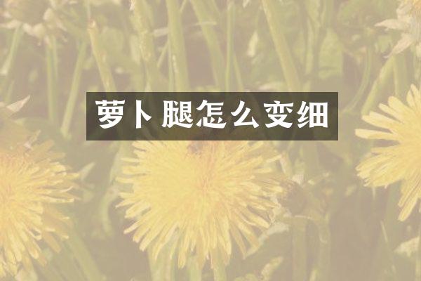 萝卜腿怎么变细