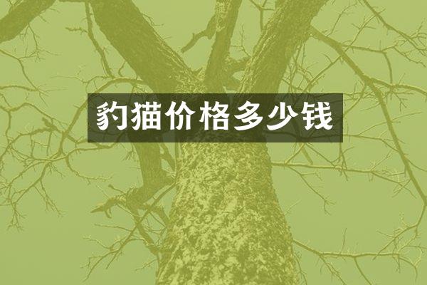 豹猫价格多少钱
