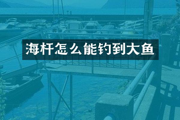 海杆怎么能钓到大鱼