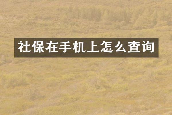 社保在手机上怎么查询
