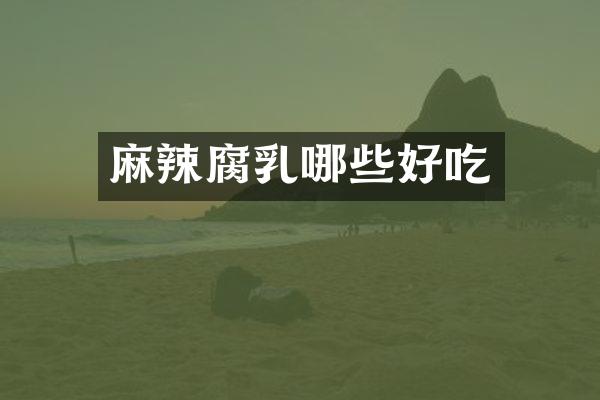 麻辣腐乳哪些好吃