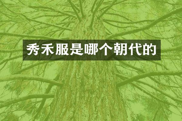 秀禾服是哪个朝代的