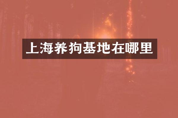 上海养狗基地在哪里