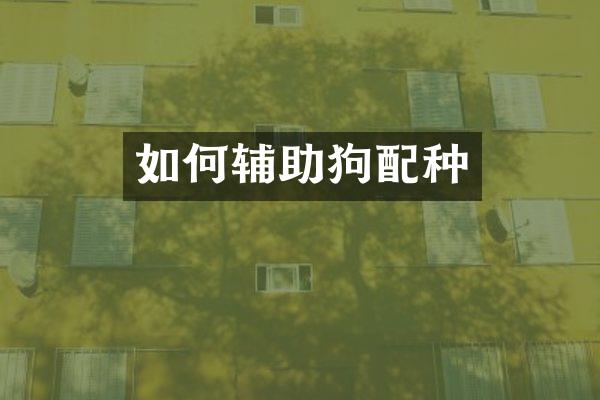 如何辅助狗配种