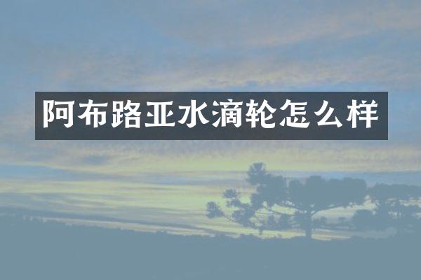 阿布路亚水滴轮怎么样