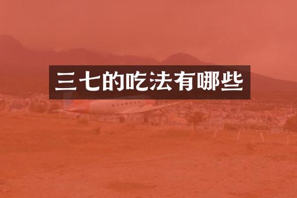 三七的吃法有哪些