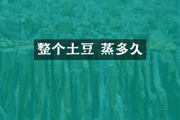 整个土豆 蒸多久