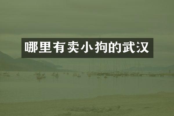 哪里有卖小狗的武汉
