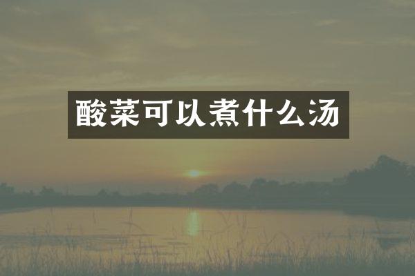 酸菜可以煮什么汤