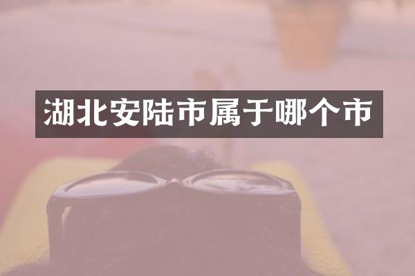 湖北安陆市属于哪个市
