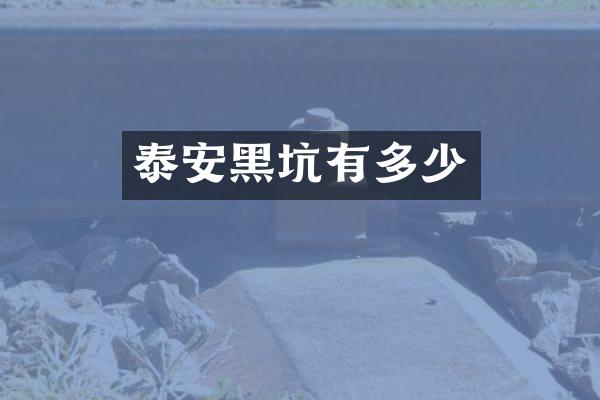 泰安黑坑有多少