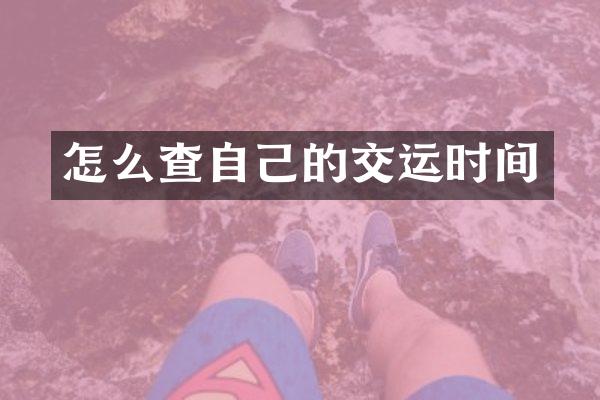 怎么查自己的交运时间