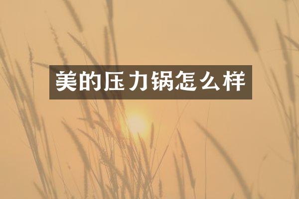 美的压力锅怎么样