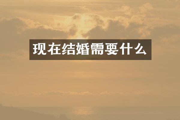 现在结婚需要什么