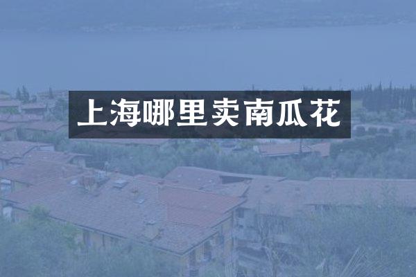 上海哪里卖南瓜花