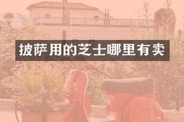 披萨用的芝士哪里有卖