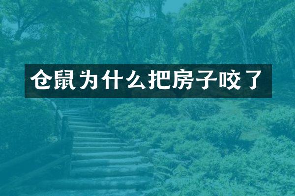 仓鼠为什么把房子咬了