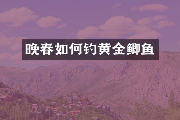 晚春如何钓黄金鲫鱼