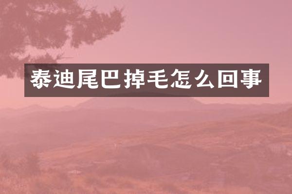 泰迪尾巴掉毛怎么回事