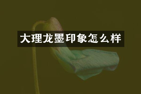 大理龙墨印象怎么样