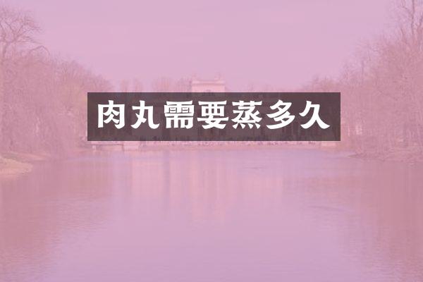 肉丸需要蒸多久