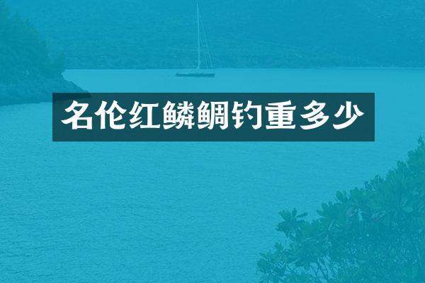 名伦红鳞鲷钓重多少