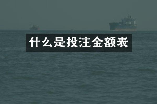 什么是投注金额表