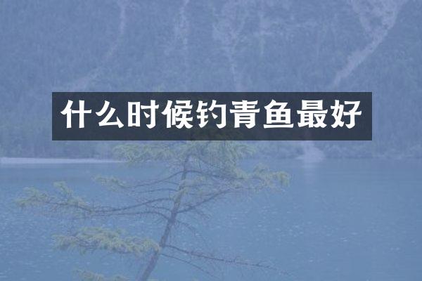 什么时候钓青鱼最好