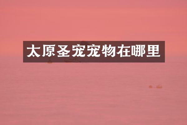 太原圣宠宠物在哪里