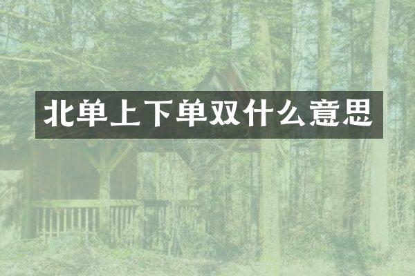 北单上下单双什么意思