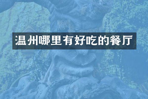 温州哪里有好吃的餐厅