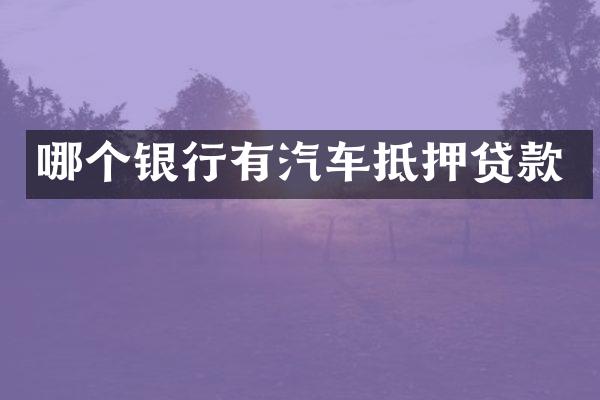 哪个银行有汽车抵押贷款