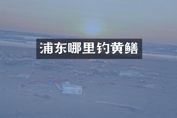 浦东哪里钓黄鳝