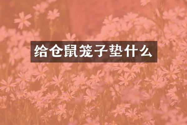 给仓鼠笼子垫什么