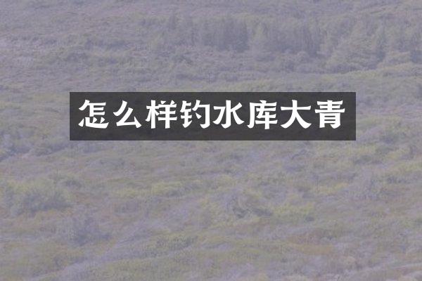 怎么样钓水库大青