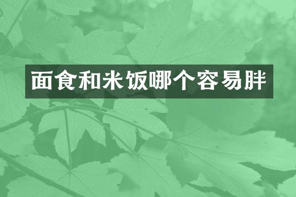 面食和米饭哪个容易胖